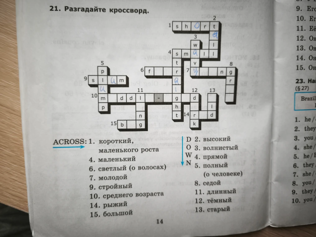 21. Разгадайте кроссворд.