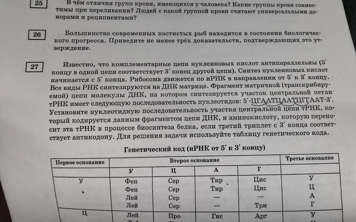 25. В чём отличия групп крови, имеющихся у человека? 26. Большинство современных костистых рыб находится в состоянии биологического прогресса. 27. Известно, что комплементарные цепи нуклеиновых кислот антипараллельны...