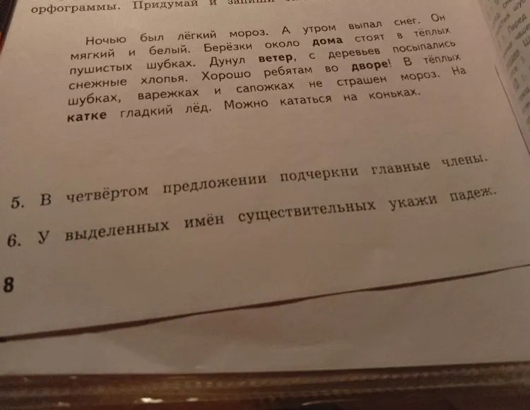5. В четвёртом предложении подчеркни главные члены. 6. У выделенных имён существительных укажи падеж.