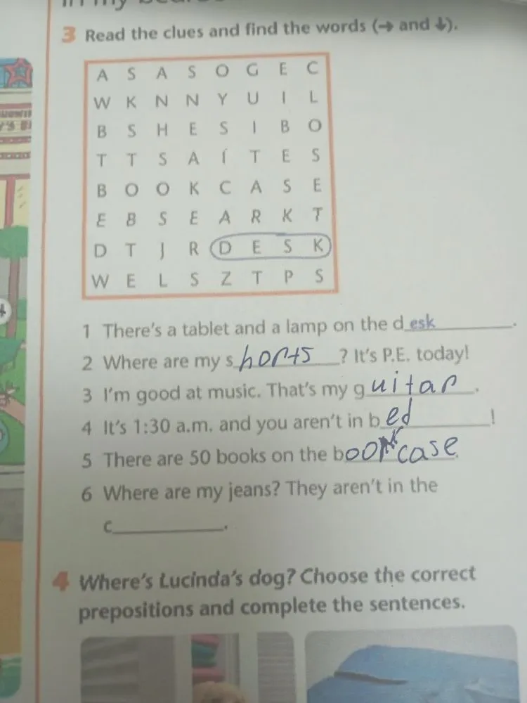 Read the clues and find the words (→ and ↓).