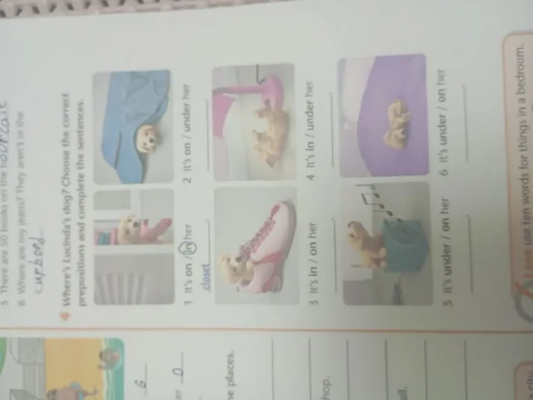 Where's Lucinda's dog? Choose the correct prepositions and complete the sentences.