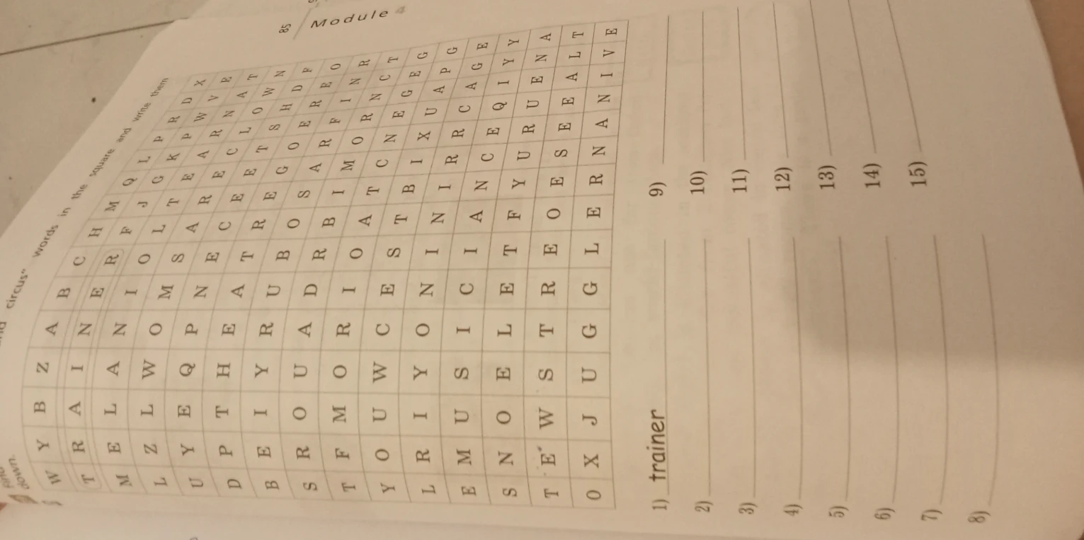 Find words in the square and write them
