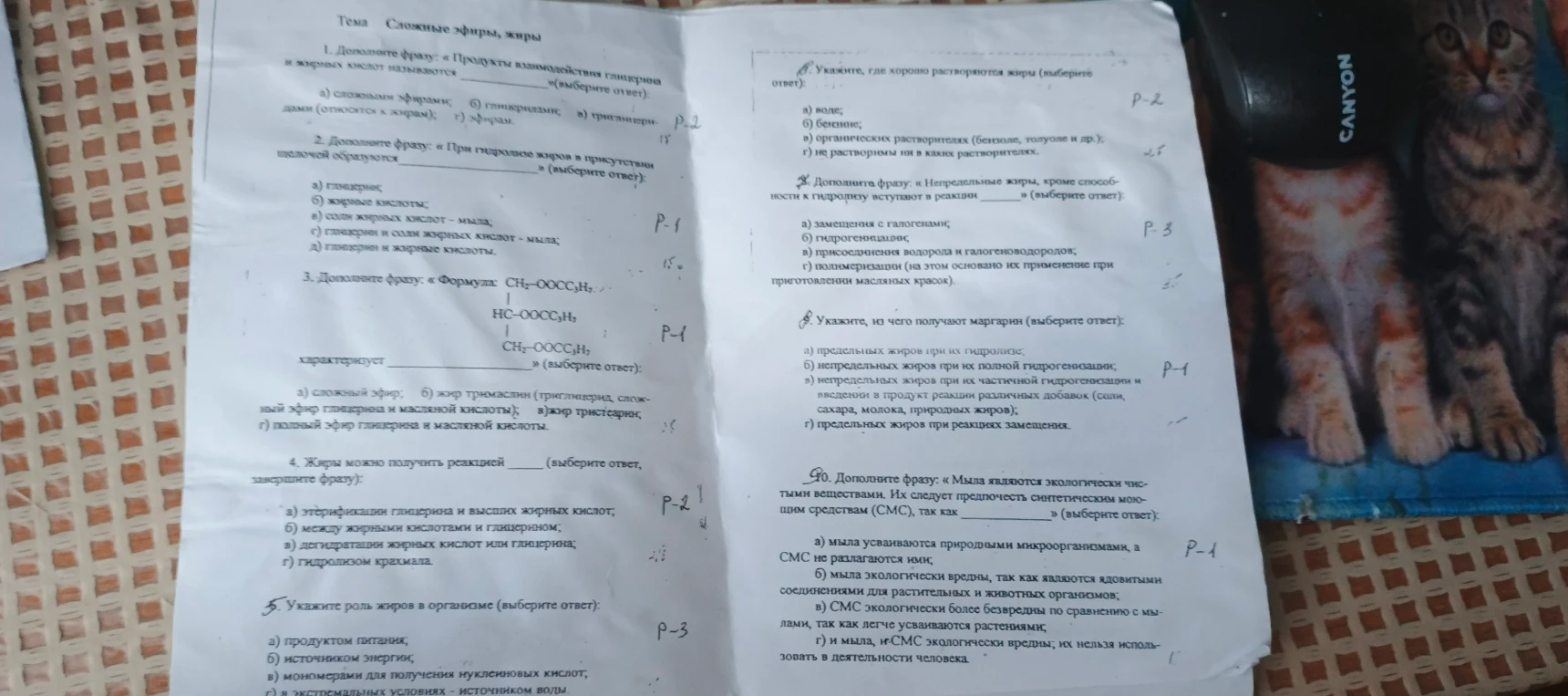 Дополнение фраз и выбор правильных ответов по теме «Сложные эфиры, жиры».