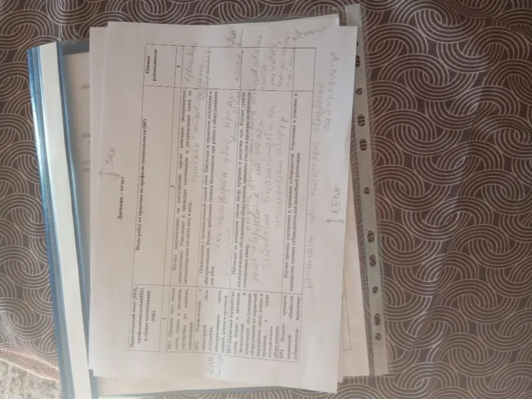 На присланном изображении представлен заполненный бланк «Дневника-отчета» по производственной практике