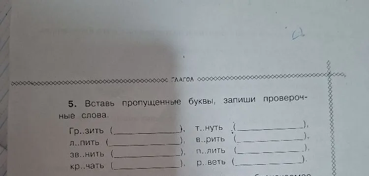 5. Вставь пропущенные буквы, запиши проверочные слова.