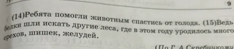 Выпиши из 14-го предложения все имена существительные в той форме, в которой они употреблены в предложении. Укажи род, число, падеж одной из форм имени существительного (на выбор).