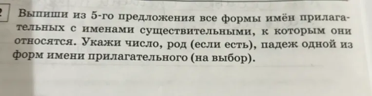 Выпиши из 5-го предложения все формы имён прилагательных с именами существительными, к которым они относятся. Укажи число, род (если есть), падеж одной из форм имени прилагательного (на выбор).