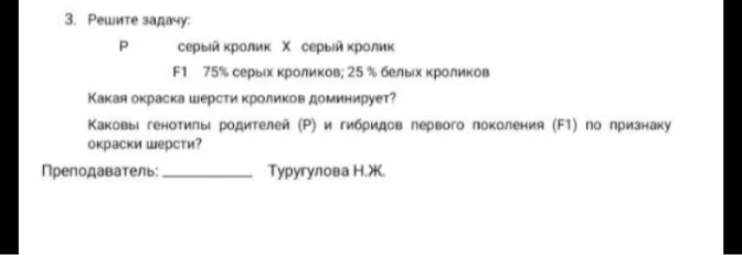 3. Решите задачу: P серый кролик X серый кролик F1 75% серых кроликов; 25 % белых кроликов. Какая окраска шерсти кроликов доминирует? Каковы генотипы родителей (Р) и гибридов первого поколения (F1) по признаку окраски шерсти?