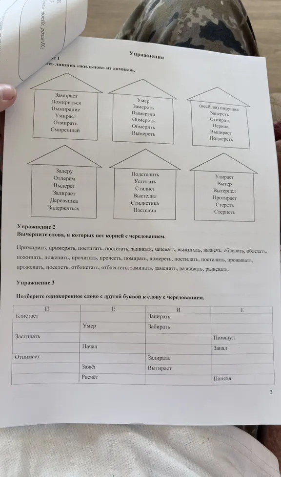 Реши задания по русскому языку 8 класс