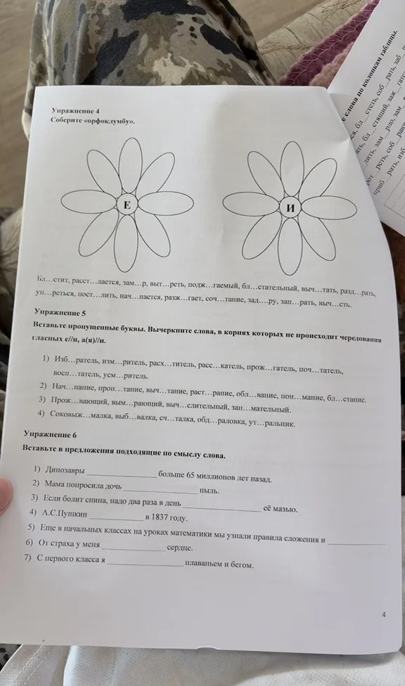 Реши задания по русскому языку 8 класс