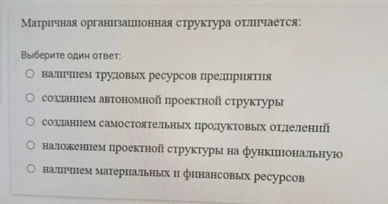 Матричная организационная структура отличается: