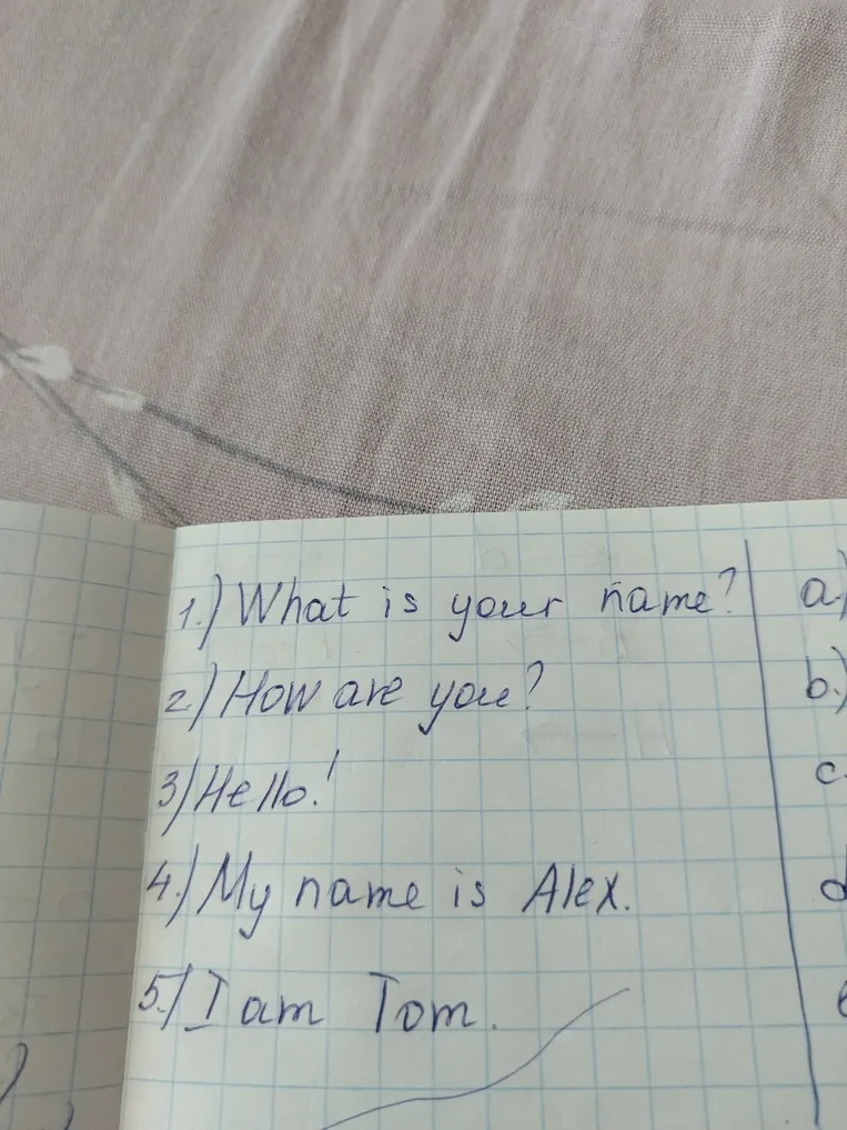 1) What is your name? 2) How are you? 3) Hello! 4) My name is Alex. 5) I am Tom.