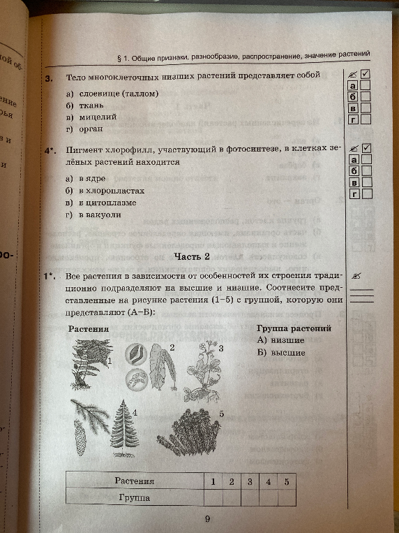 Тело многоклеточных низших растений представляет собой...