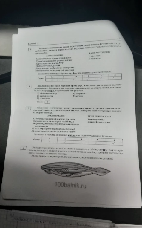 Установление соответствий и биологических терминов в заданиях 6-9.