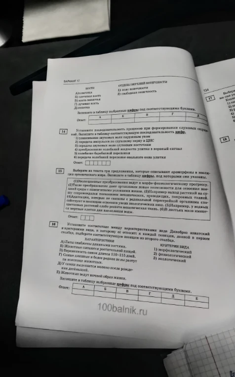 Установите соответствие между характеристиками вида Дикобраз азиатский и критериями вида, к которому ее относят: к каждой позиции, данной в первом столбце, подберите соответствующую позицию из второго столбца.