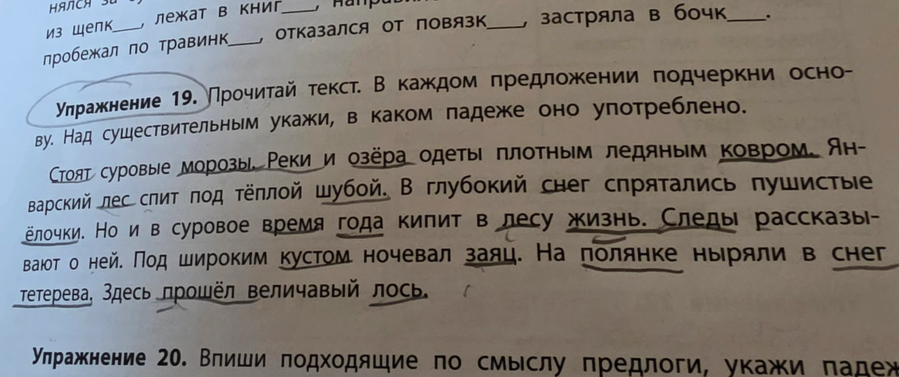 Прочитай текст. В каждом предложении подчеркни основу. Над существительным укажи, в каком падеже оно употреблено.