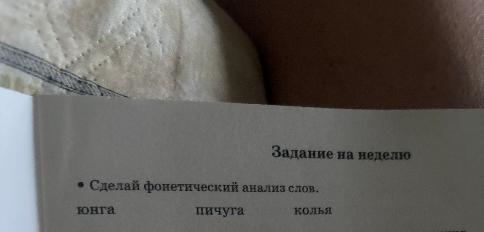 Сделай фонетический анализ слов: юнга, пичуга, колья