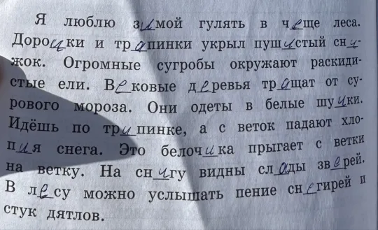 Я люблю зимой гулять в чаще леса. Дорожки и тропинки укрыл пушистый снежок.
