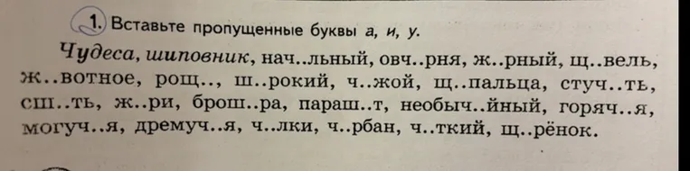 1. Вставьте пропущенные буквы а, и, у.