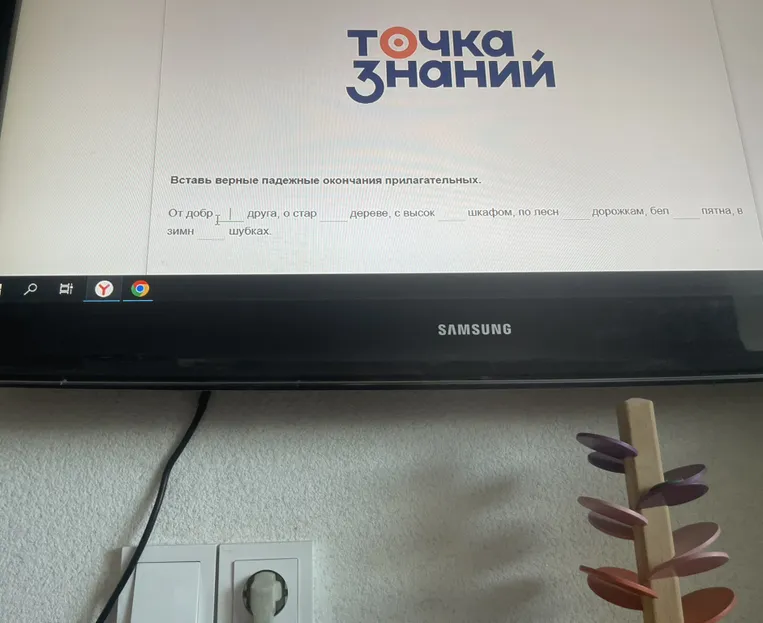 Вставь верные падежные окончания прилагательных.