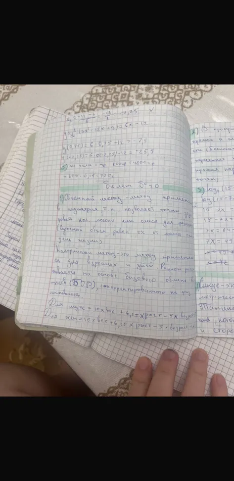 Расшифровка рукописного конспекта с математическими расчетами и заметками к билету №20.