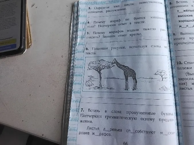Прочитай текст. Почему жирафу не надо остерегаться какого-либо врага?