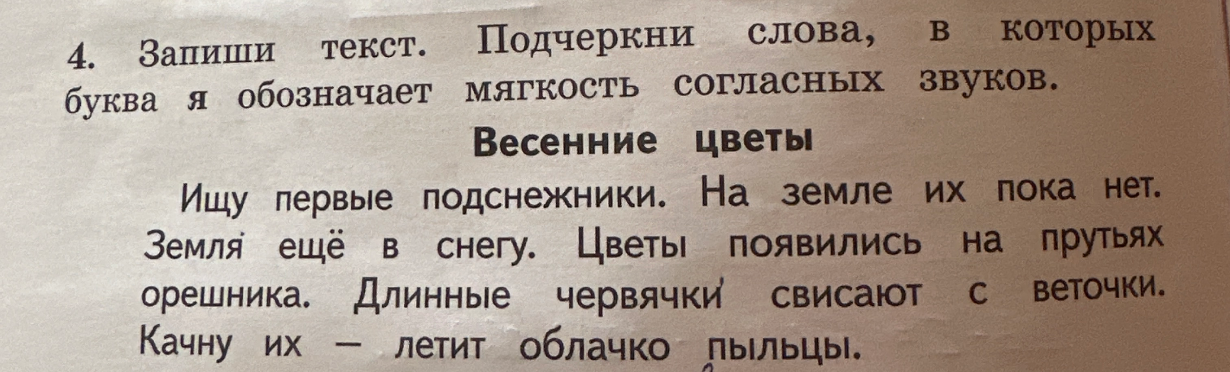 4. Запиши текст. Подчеркни слова, в которых буква я обозначает мягкость согласных звуков.