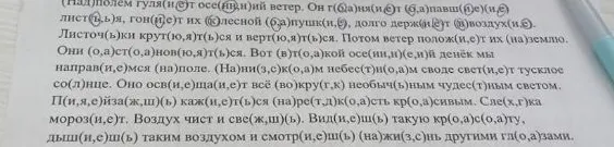 (Над)полем гуля(и,е)т осе(н,нн)ий ветер. Он г(о,а)ня(и,е)т о(о,а)павш(и,е)(и,е) лист(ь,ъ)я, гон(и,е)т их (с,з)лесной (о,а)пушк(и,е), долго держ(и,е)т (в)воздух(и,е).