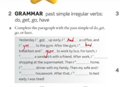 Complete the paragraph with the past simple of do, get, go, or have.