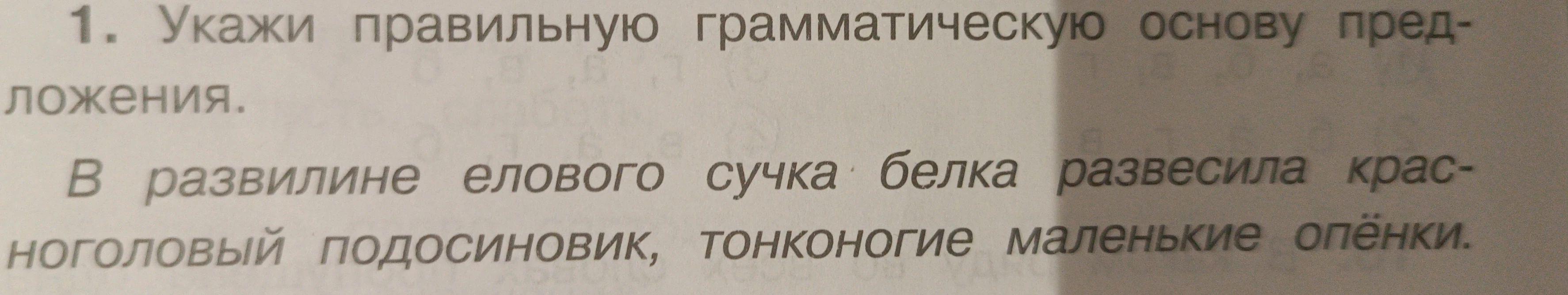 1. Укажи правильную грамматическую основу предложения.