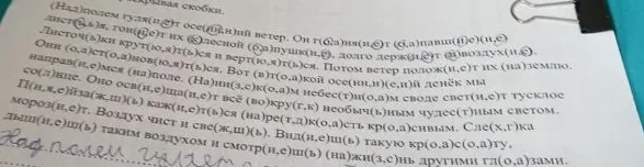 (Над)полем гуля(и,е)т осе(нн,н)ий ветер. Он г(о,а)ня(и,е)т их (л,к)есной (о,а)пушк(и,е).