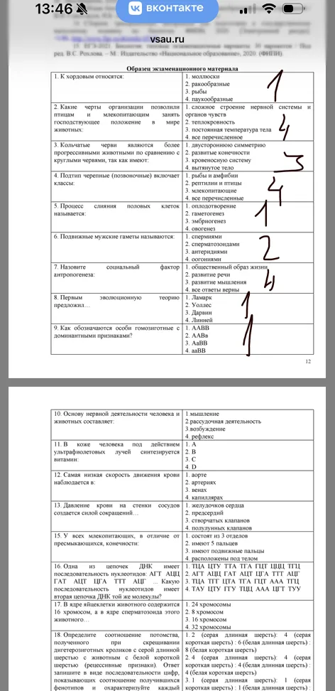 10. Основу нервной деятельности человека и животных составляет: