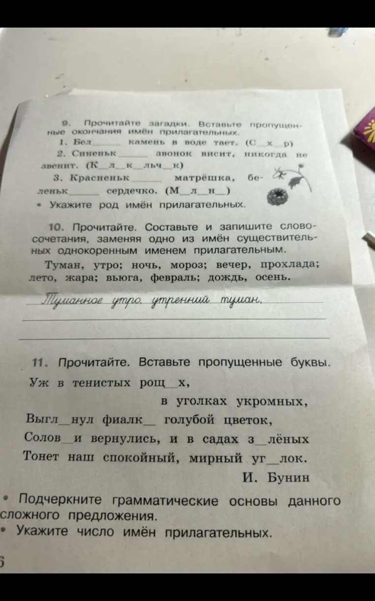 Прочитайте загадки. Вставьте пропущенные окончания имён прилагательных.
