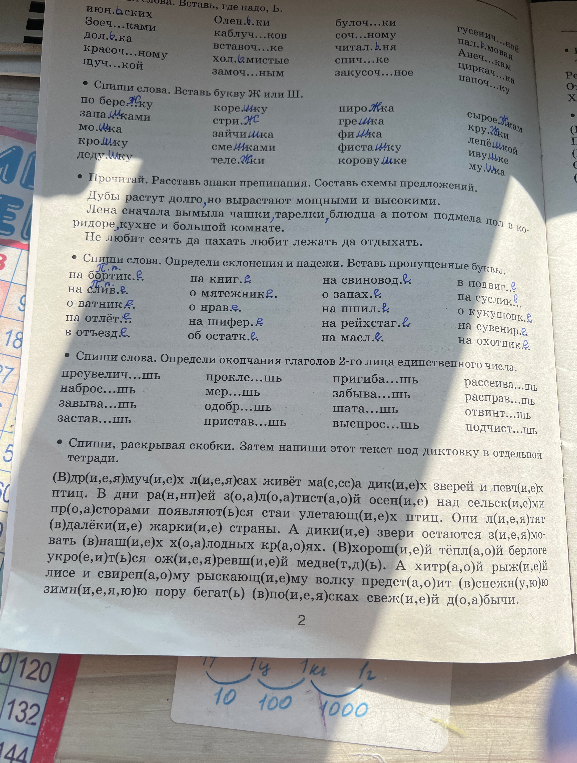 Спиши слова. Вставь букву Ж или Ш.