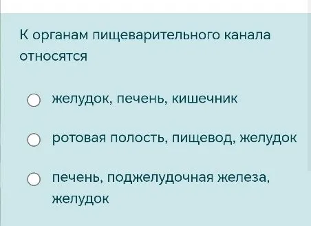 К органам пищеварительного канала относятся