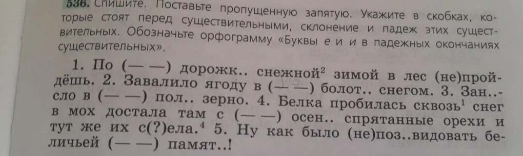Спишите. Поставьте пропущенную запятую. Укажите в скобках, которые стоят перед существительными, склонение и падеж этих существительных.