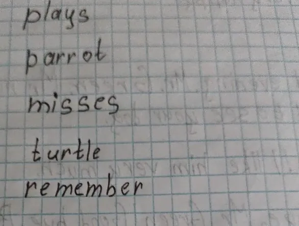 plays, parrot, misses, turtle, remember