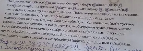 Над полем гуляет осенний ветер. Он гоняет опавшие листья, гонит их к лесной опушке, долго держит в воздухе.