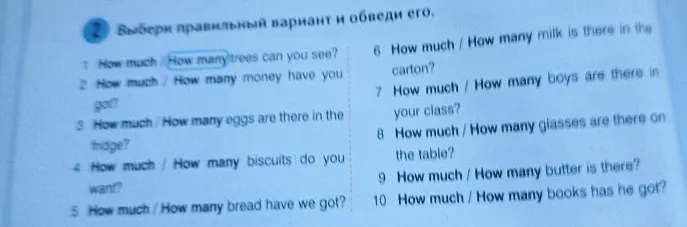 Выбери правильный вариант и обведи его.
