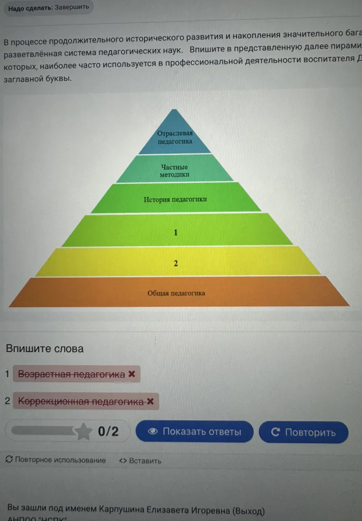 В процессе продолжительного исторического развития и накопления значительного багажа знаний сложилась разветвленная система педагогических наук.