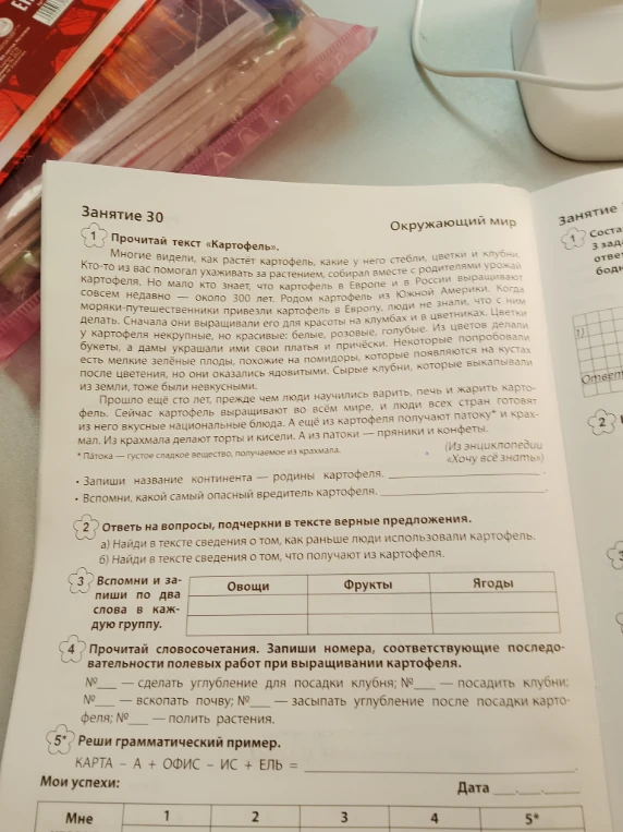 Прочитай текст «Картофель». Многие видели, как растёт картофель, какие у него стебли, цветки и клубни.