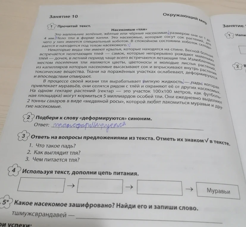 Прочитай текст. Насекомые «тля»