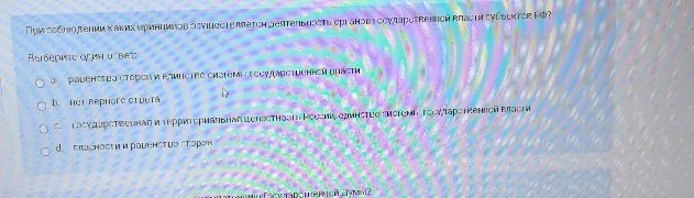 При соблюдении каких принципов осуществляется деятельность органов государственной власти субъектов РФ?