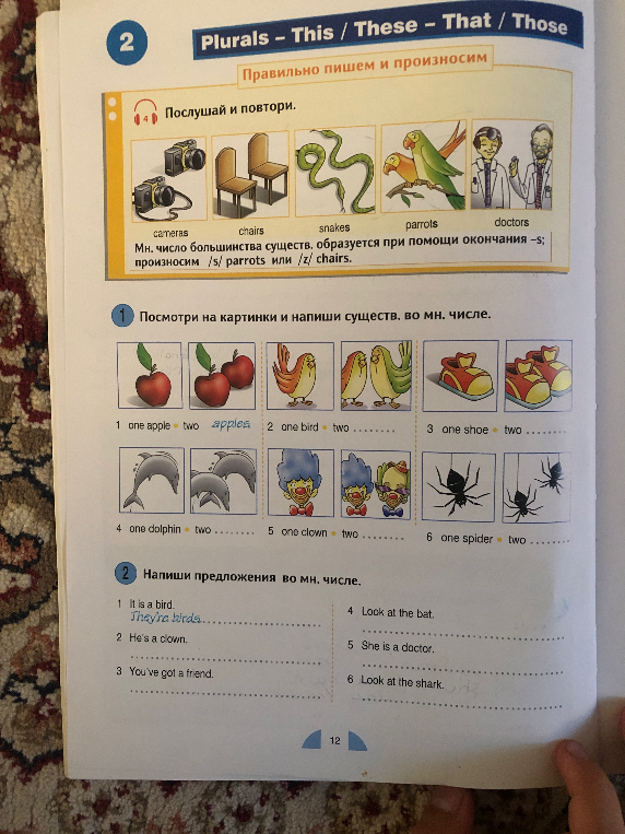Посмотри на картинки и напиши существ. во мн. числе.