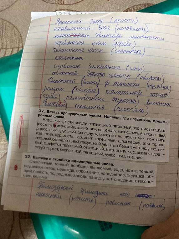 37. Вставь пропущенные буквы. Напиши, где возможно, проверочные слова.