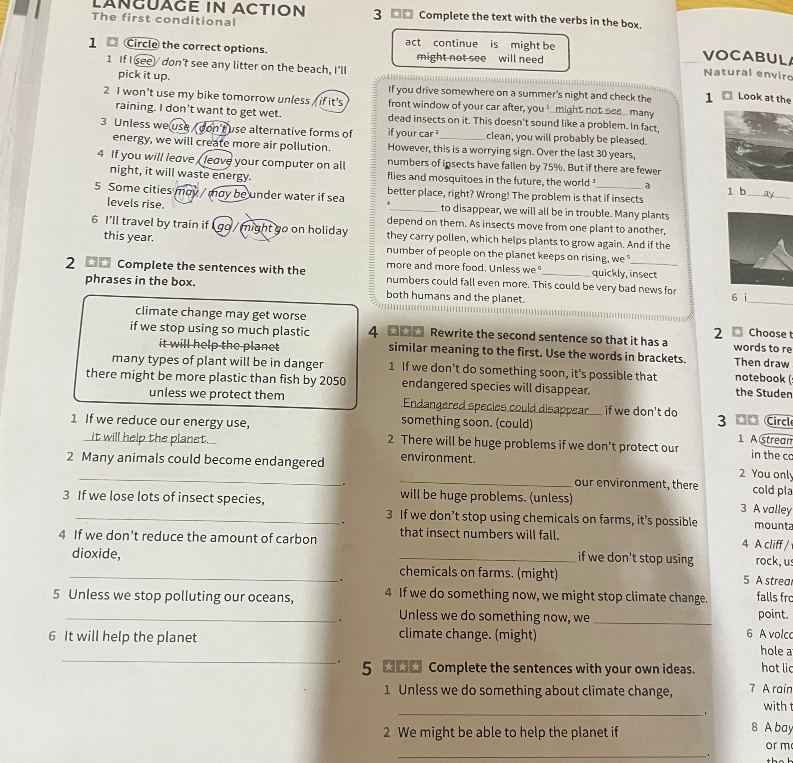 Complete the text with the verbs in the box.