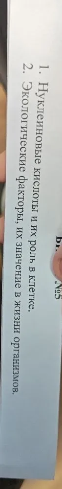 Нуклеиновые кислоты и их роль в клетке.