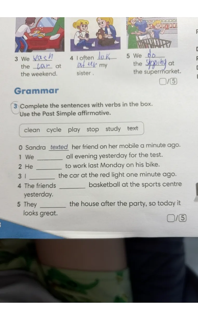 Complete the sentences with verbs in the box. Use the Past Simple affirmative.