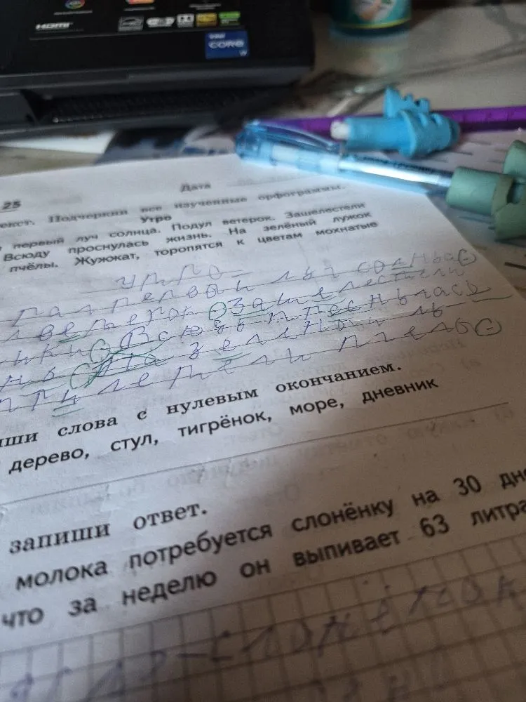 Выпиши слова с нулевым окончанием. Дерево, стул, тигрёнок, море, дневник.