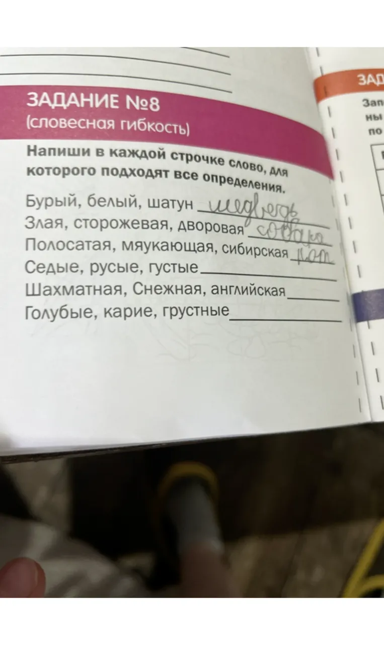 Напиши в каждой строчке слово, для которого подходят все определения.